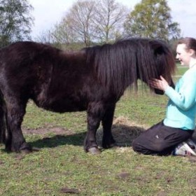 Puurmeij-coaching-met-paarden-sfeerbeelden-003
