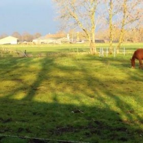 Puurmeij-coaching-met-paarden-sfeerbeelden-008