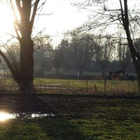 Puurmeij-coaching-met-paarden-sfeerbeelden-010
