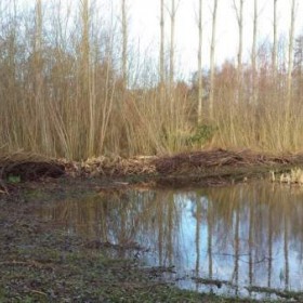 Puurmeij-coaching-met-paarden-sfeerbeelden-012