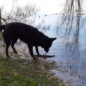 Puurmeij-coaching-met-paarden-sfeerbeelden-013