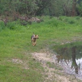 Puurmeij-coaching-met-paarden-sfeerbeelden-016
