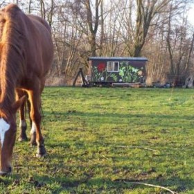 Puurmeij-coaching-met-paarden-sfeerbeelden-019