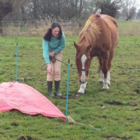 Puurmeij-coaching-met-paarden-sfeerbeelden-021