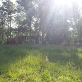 Puurmeij-coaching-met-paarden-sfeerbeelden-023