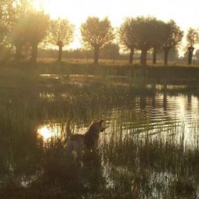 Puurmeij-coaching-met-paarden-sfeerbeelden-025