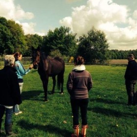 Puurmeij-coaching-met-paarden-sfeerbeelden-026