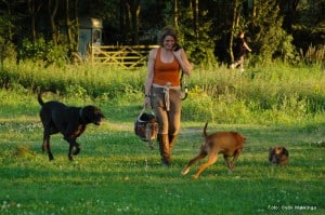 wendy meij coached met paarden