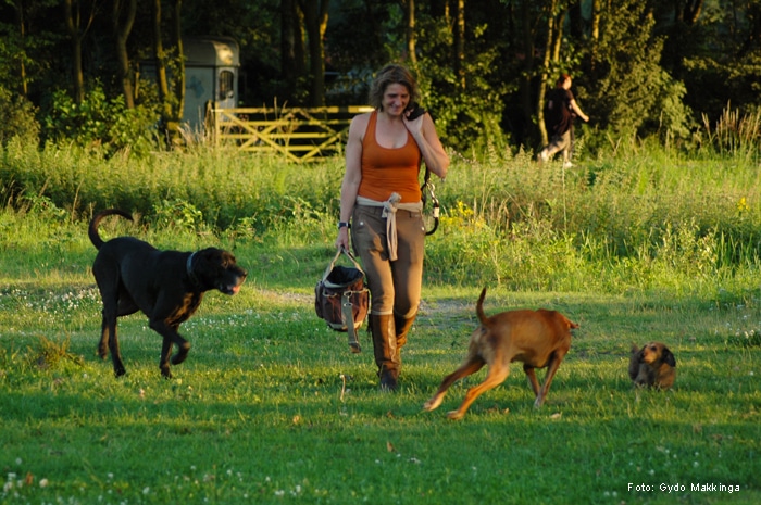 wendy meij coached met paarden