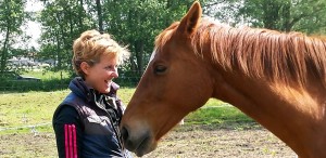 individuele paardencoachin