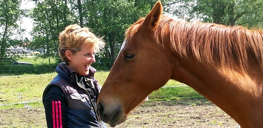 individuele paardencoachin