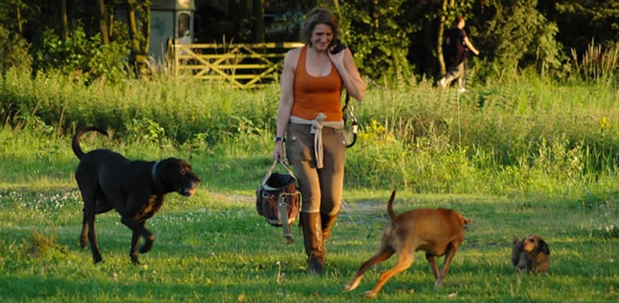 wendy meij coached met paarden