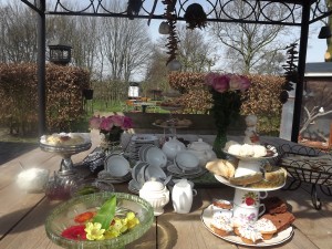 hightea