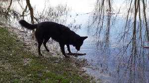 Coach Jack is hoogggevoelig