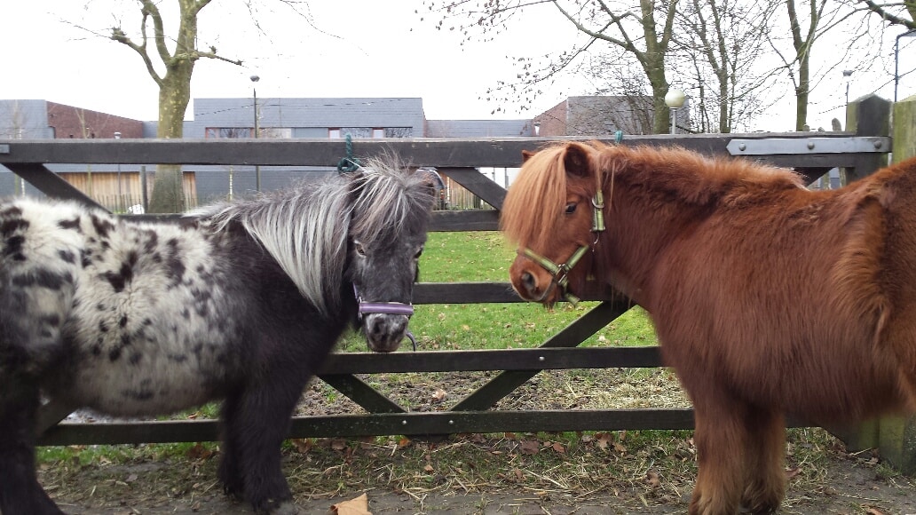 20140104_133759_resized