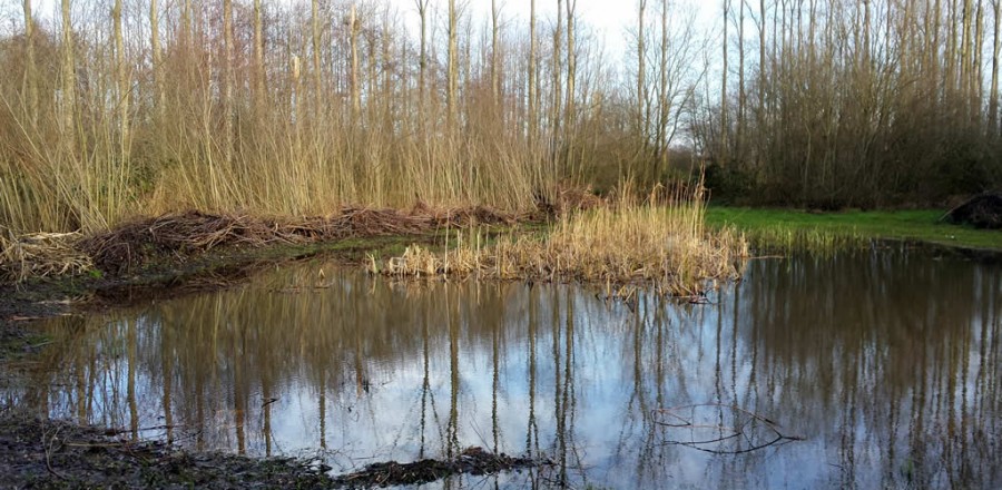 t-Wij-land-puurmeij-coaching
